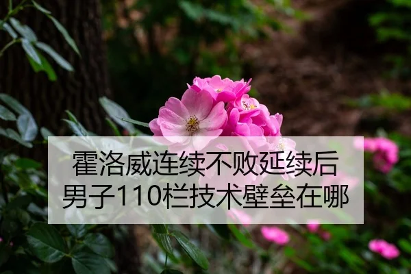 霍洛威连续不败延续后 男子110栏技术壁垒在哪