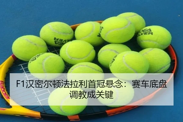 han-mi-er-dun-fa-la-li-shou-guan-xuan-nian-sai-che-di-pan-tiao-jiao-cheng-guan-jian-3-953.jpg