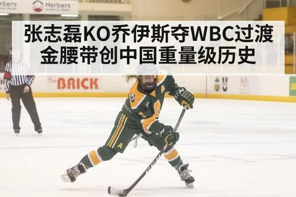 张志磊KO乔伊斯夺WBC过渡金腰带创中国重量级历史